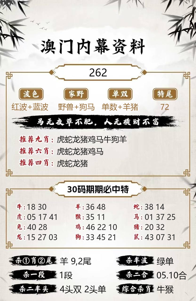 新新彩内幕资料模板